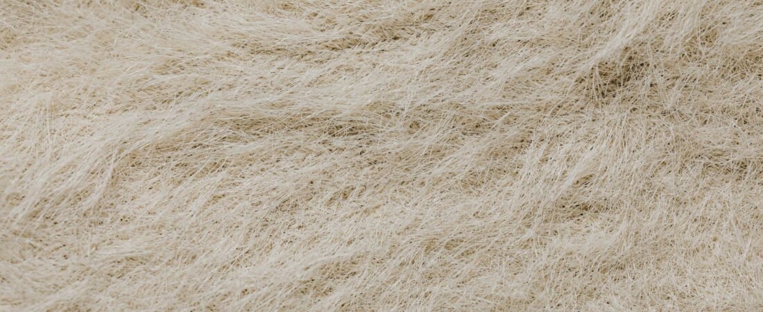 Windeln: Inhaltsstoffe und Siegel im Überblick erklärt